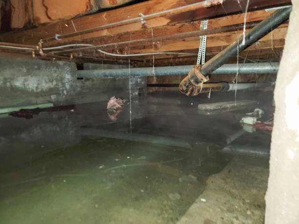 Best 24-hour water damage restoration  in Canyon, TX
