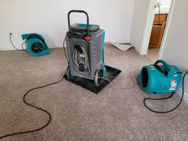 Best Ceiling water damage repair  in Canyon, TX