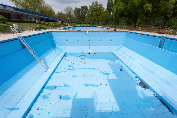 Best Professional water damage repair  in Canyon, TX