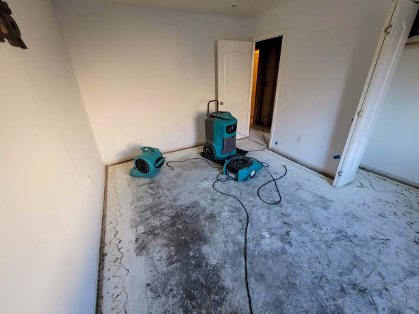 Reliable Canyon, TX Water damage restoration Solutions