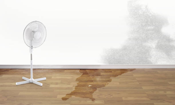 Best Fire Damage Restoration  in Canyon, TX