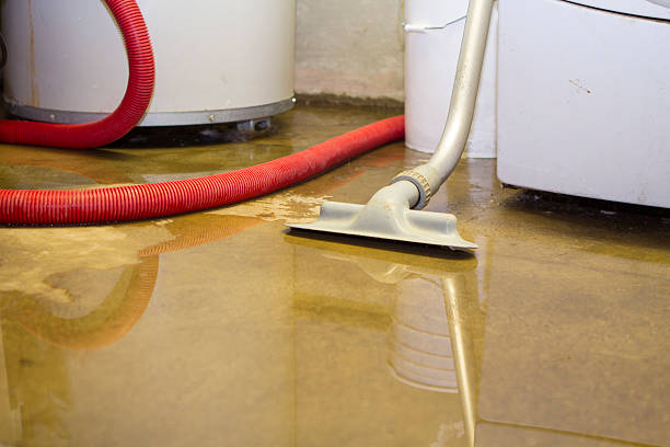 Best Sewage cleanup and water damage restoration  in Canyon, TX