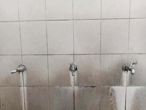 Best Basement water damage restoration  in Canyon, TX