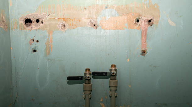 Best Water damage restoration near me  in Canyon, TX